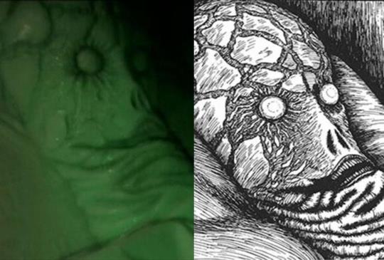 【迷失在夢中的永生地　伊藤潤二《長夢》】